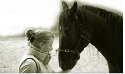 Abbildung Osteopathie Pferde Naturheilverfahren